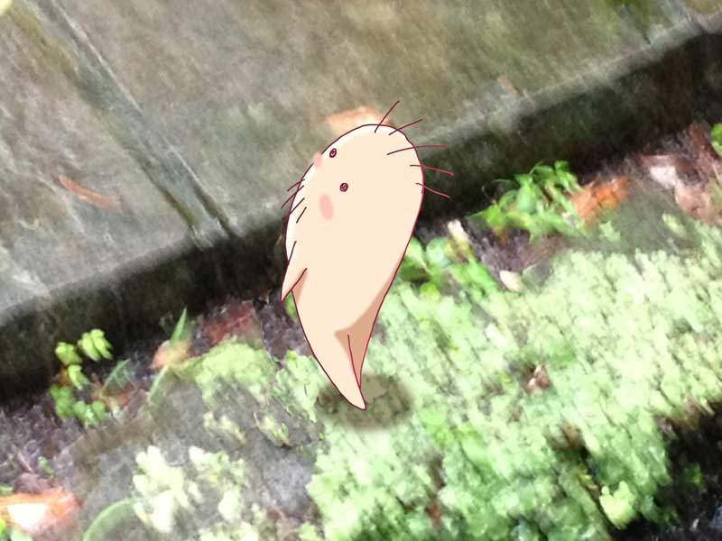 オヤジ発見！